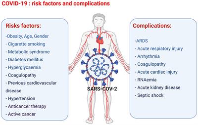 Anti-cancer Therapy Leads to Increased Cardiovascular Susceptibility to COVID-19